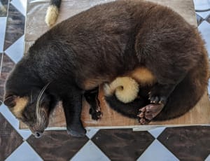 Meeting Morgan Freeman & Jack Nicholson