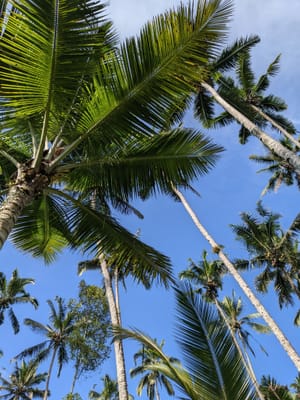 Canggu (aka temple for the nomads)