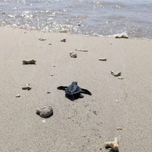 They grow up so fast